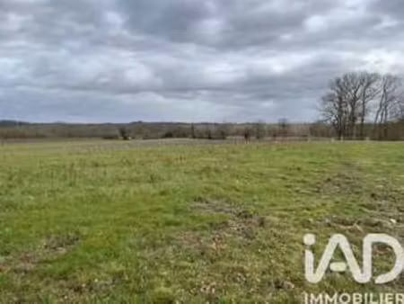 vente terrain à larée (32150) : à vendre / 132080m² larée