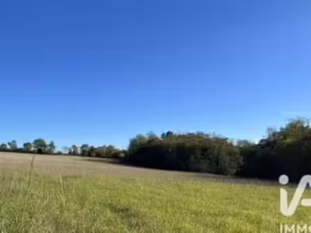 vente terrain à marguestau (32150) : à vendre / 96509m² marguestau