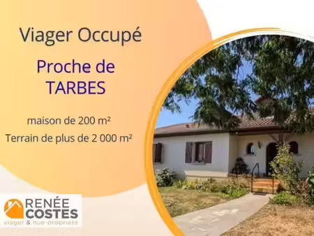 viager occupé - f85 ans - tarbes (65000)