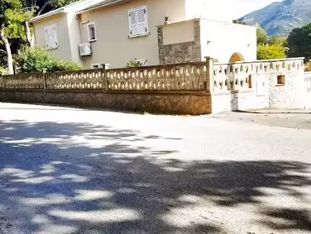 vente maison 5 pièces 120 m² à patrimonio (20253)  645 000 €