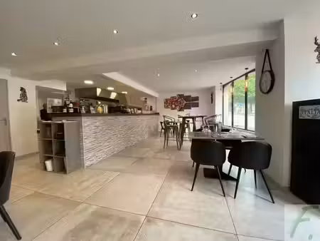 vente locaux professionnels 0 pièces 250 m² à culoz-béon (01350)  120 000 €