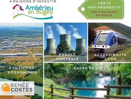 vente en nue propriété - f72-h70 ans - amberieu en bugey (01500)