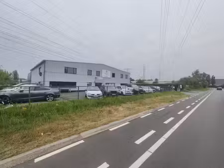 bien professionnel à louer à temse € 8.084 (lqrun) - dg real estate | zimmo