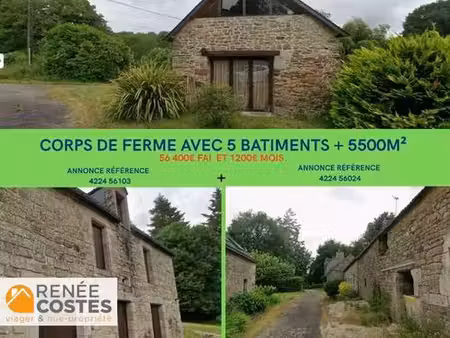viager occupé - h70 ans - plumeliau (56930)