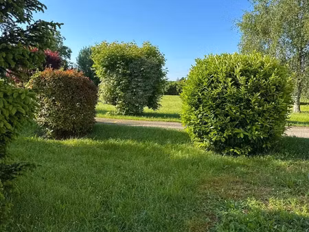 vente terrain 3000 m² prissé (71960)