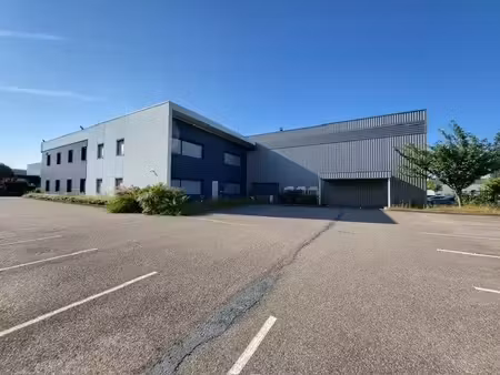 location local d’activités saint priest 69800 3506m²