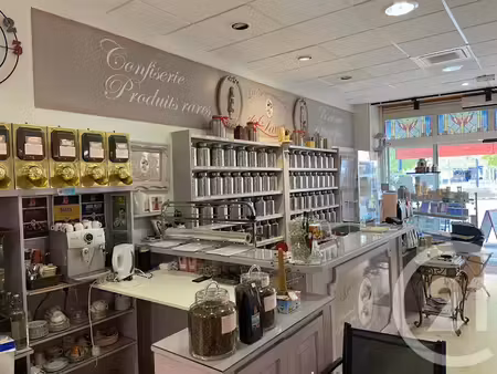 vente locaux professionnels à annonay (07100)  46 800 €