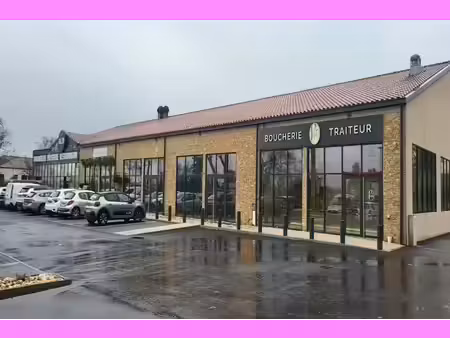 location commerce fabregues 34690 90m² à 260m²