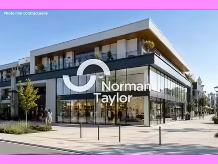 location commerce perols 34470 522m²