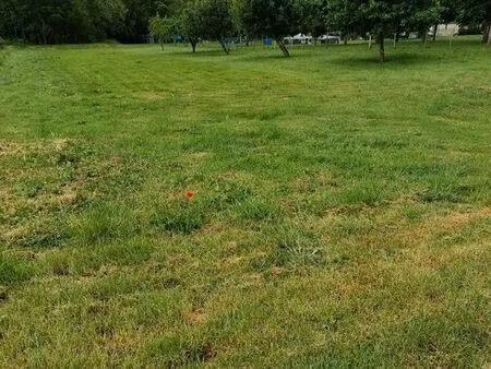 terrain 1004 m² st ulphace