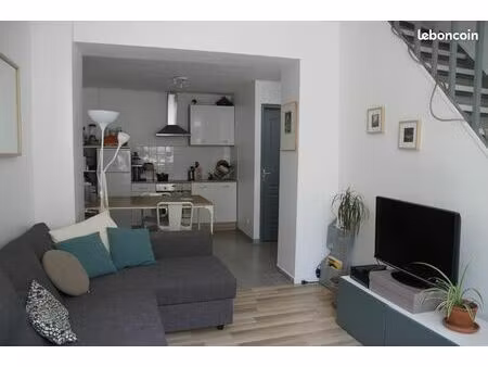 maison lille sud