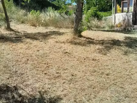 sud est immo agence de lambesc