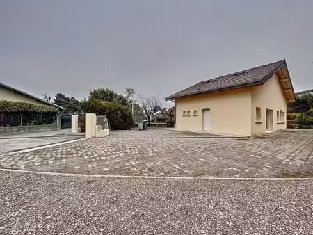 synalp immobilier