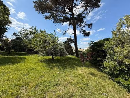 terrain à vendre