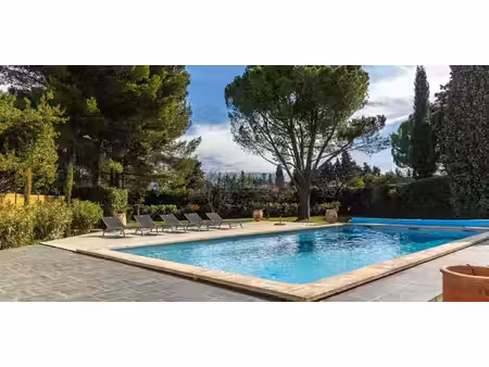 maison avec piscine et terrasse cheval-blanc (84)
