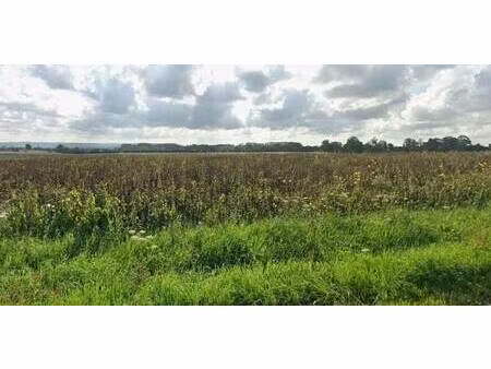 terrain constructible à vendre