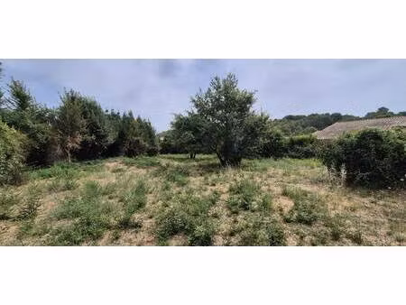 terrain constructible viabilisé à vendre