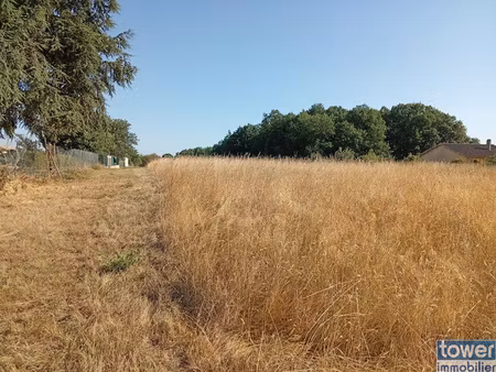 terrain