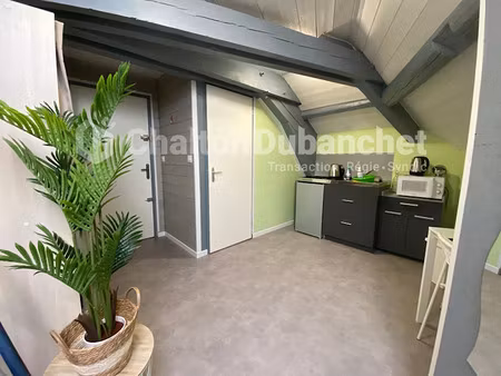 location appartement 1 pièce 17.97 m² à roanne (42300)  340 €