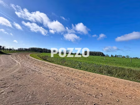 propriété équestre (chevaux de courses) sur 19 ha de terrain (chalet d'habitation  barns  