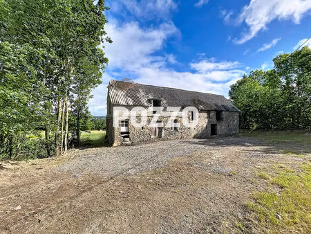 a vendre maison a restaurer avec batiment a valdalliere (14)