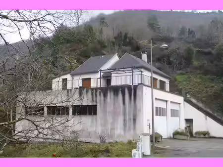 maison avec très grand garage-atelier au bord du lot (cassaniouze  15)