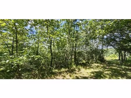 terrain de 1 428 m² à montdurausse
