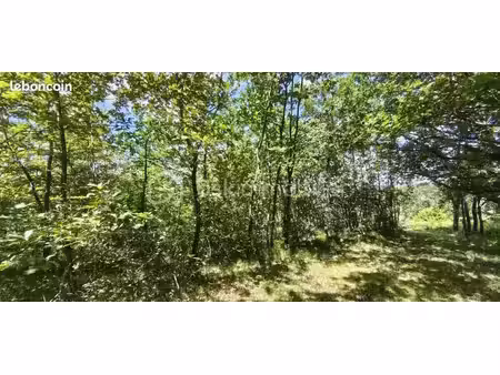 forêt 1 428 m² montdurausse