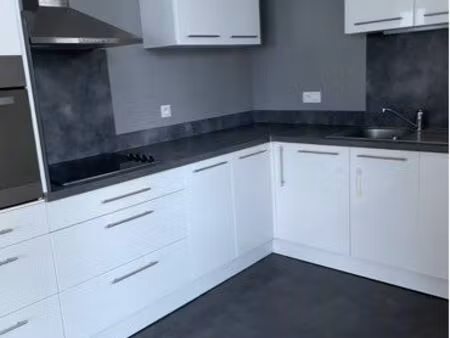 appartement entièrement rénové centre ville