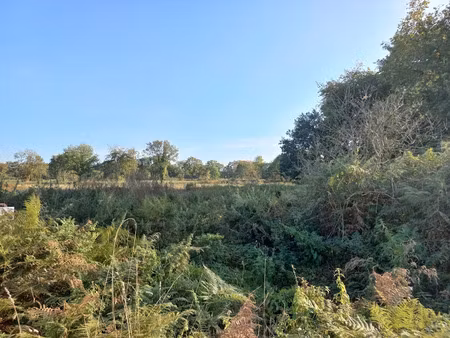 vente terrain 482 m² à le hinglé (22100)  58 000 €