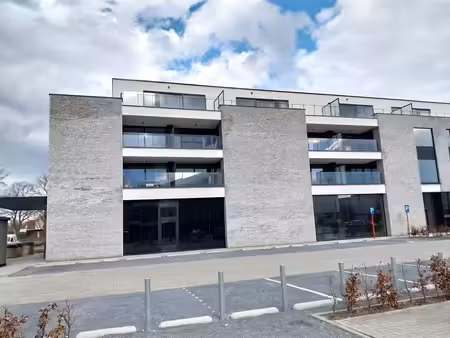 appartement à louer à de heuft 4 beverlo (rbw61979)