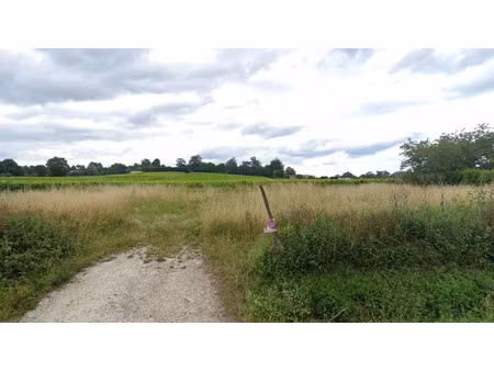 vente terrain 717 m² à camblanes-et-meynac (33360)  175 000 €