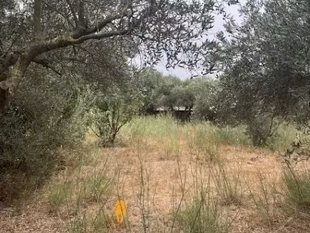 vente terrain 527 m² à valergues (34130)  199 000 €