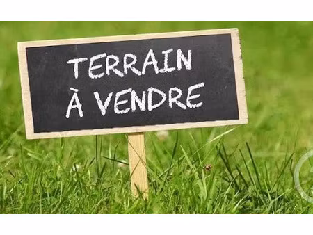 vente terrain à batir 4968 m² à sainte-foy (85150)  100 000 €