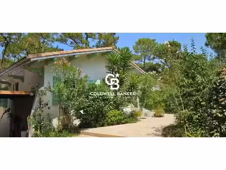 une adresse privilégiée au pyla  l’élégance intemporelle d’une villa gaume entre nature et
