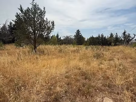 vente terrain 696 m² à ferrals-les-corbières (11200)  103 440 €