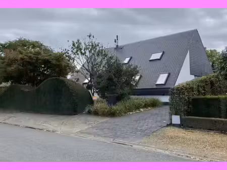 maison à louer à leemstraat 25 hoogstraten (rwc43163)