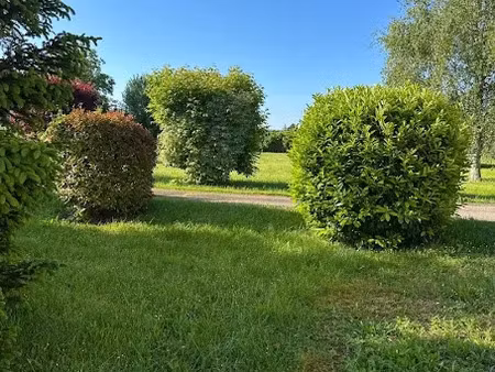vente terrain 3000 m² à prisse (71960)  210 000 €