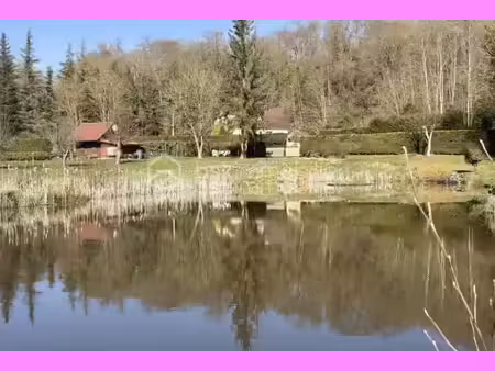 vente terrain 10000 m² à crepy-en-valois (60800)  475 000 €