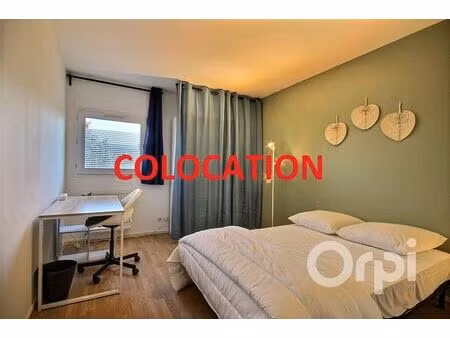 chambre en colocation