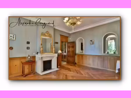 a vendre roquecourbe (81) — maison de maître xixe  500 m²  10 chambres  parc piscinable 2 