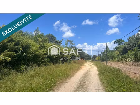 vente terrain 11096 m² montsinéry-tonnegrande (97356)
