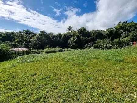 terrain constructible à vendre
