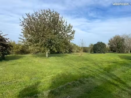 terrain 1 079 m² cussac fort medoc