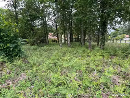 terrain 434 m² andernos les bains