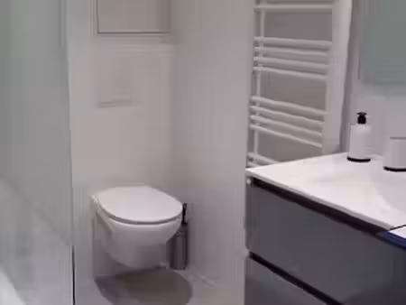 location appartement 3 pièces à coutras (33230)  550 €