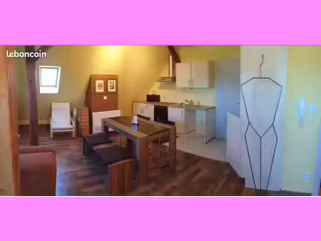 studio 1 pièce 29 m²