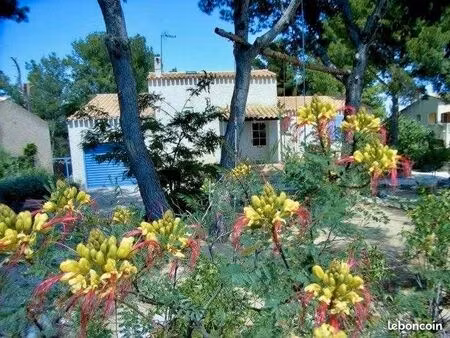 appartement en rez-de-jardin