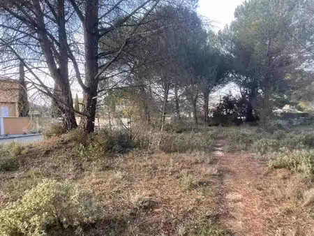 terrain constructible viabilisé à vendre