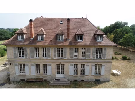 armentieres en brie (77)à vendre superbe maison de maitre 18 chambres sur son parc arboré 